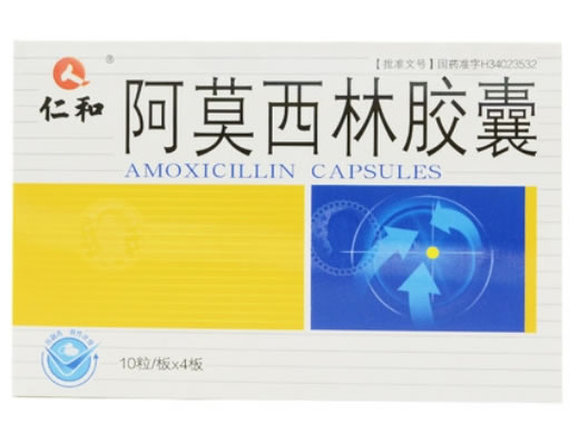仁和阿莫西林胶囊招商代理 0.25g*40粒