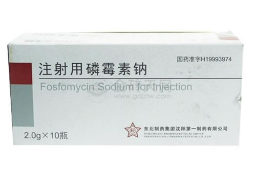注射用磷霉素钠招商代理 :注射用磷霉素钠 2g*10支 东北制药