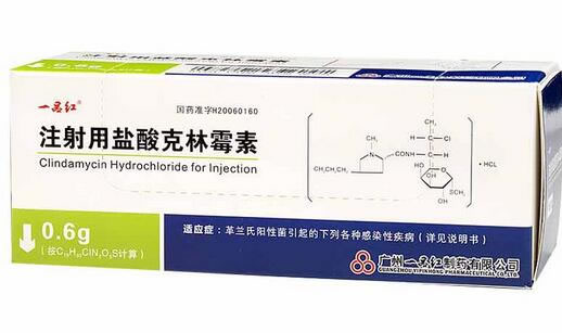 注射用盐酸克林霉素