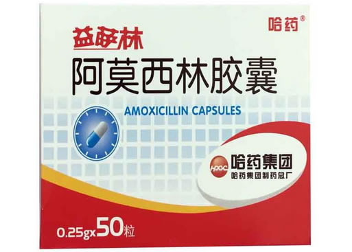 哈药/益萨林阿莫西林胶囊招商代理 50粒 哈药益萨林
