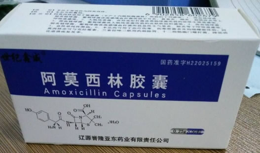 世纪鑫威阿莫西林胶囊招商代理 0.25g*50粒