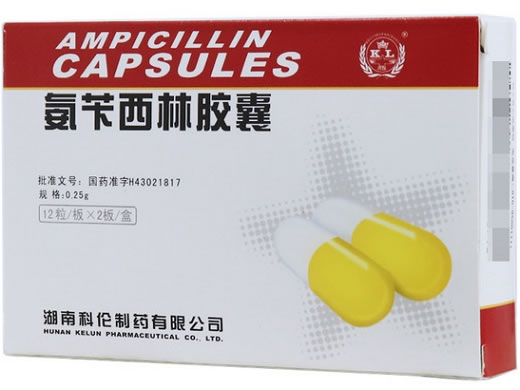 氨苄西林胶囊招商代理 24粒 湖南科伦