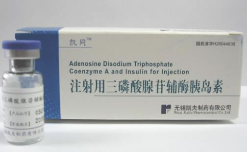 凯同注射用三磷酸腺苷辅酶胰岛素招商代理 