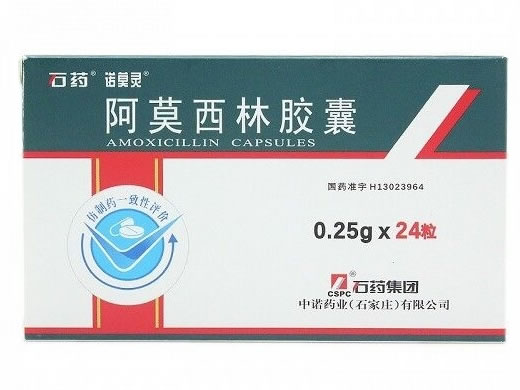 石药/诺莫灵阿莫西林胶囊招商代理 0.25g*24粒