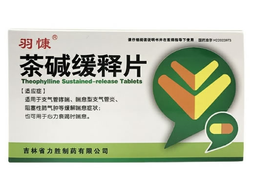 力胜茶碱缓释片招商代理 24片 力胜制药