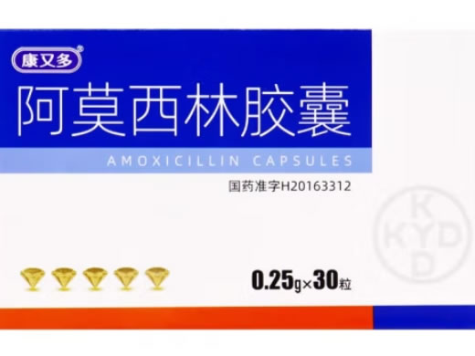 康又多阿莫西林胶囊招商代理 30粒