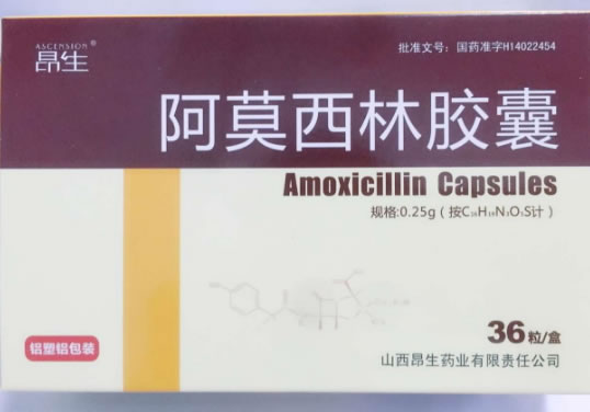昂生阿莫西林胶囊招商代理 36粒