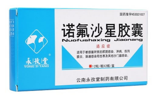 永孜堂诺氟沙星胶囊招商代理 24粒 永孜堂制药