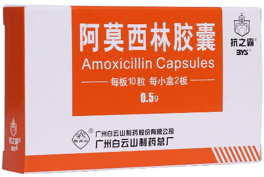 抗之霸阿莫西林胶囊招商代理 0.5g*20粒