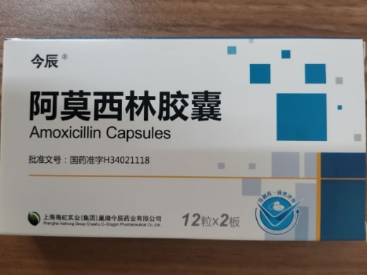 今辰阿莫西林胶囊招商代理 24粒 今辰药业
