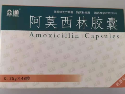 会通阿莫西林胶囊招商代理 0.25g*48粒