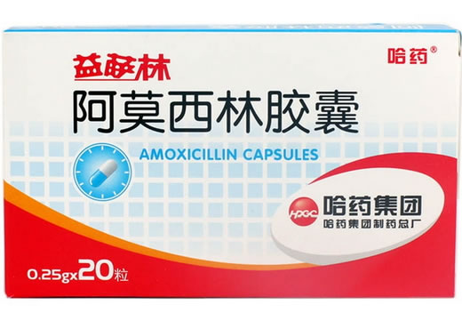 益萨林/哈药阿莫西林胶囊招商代理 哈药