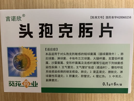 言诺欣/葵花药业头孢克肟片招商代理 6片 凯程