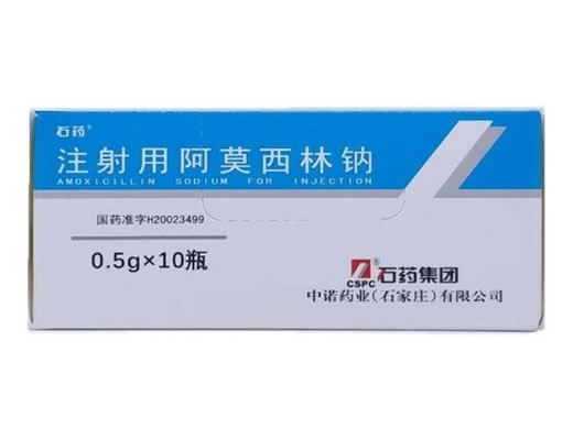 注射用阿莫西林钠招商代理 :注射用阿莫西林钠 0.5g*10瓶 石药集团中诺药业