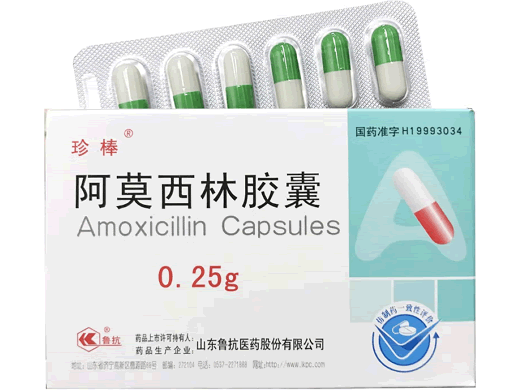 珍棒阿莫西林胶囊招商代理 48粒 鲁抗