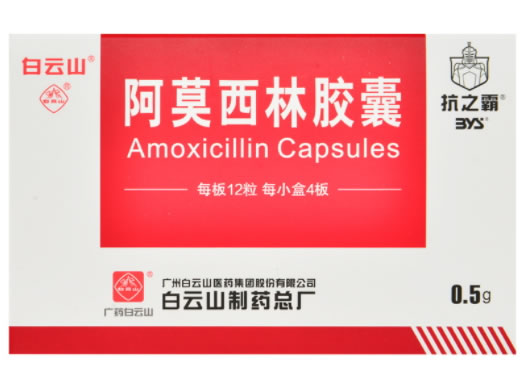 抗之霸阿莫西林胶囊招商代理 0.5g*48粒 白云山医药