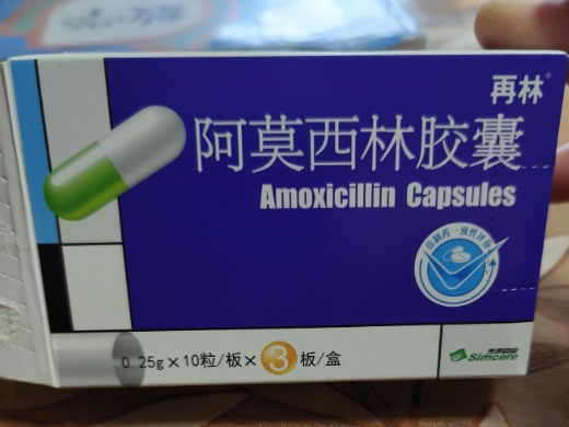 再林阿莫西林胶囊招商代理 30粒
