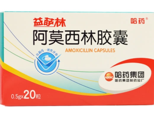 哈药阿莫西林胶囊招商代理 0.5g*20粒 哈药集团