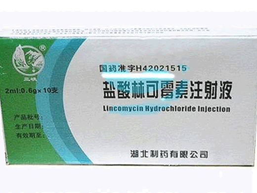 盐酸林可霉素注射液招商代理 :盐酸林可霉素注射液 2ml:0.6g*10支 华中药业