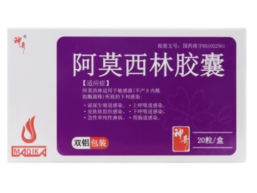 神奇阿莫西林胶囊招商代理 20粒