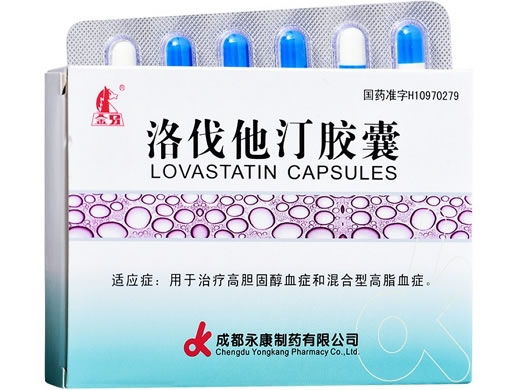 金马洛伐他汀胶囊招商代理 12片 成都永康