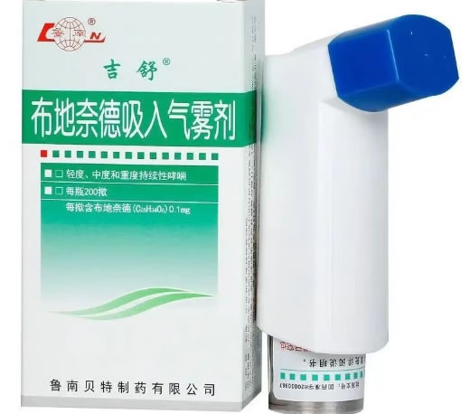 布地奈德吸入气雾剂