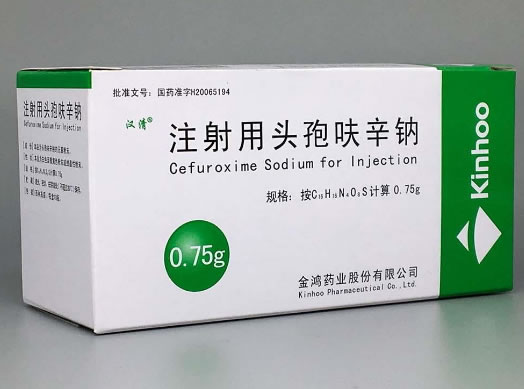 汉清注射用头孢呋辛钠招商代理 0.75g*10瓶