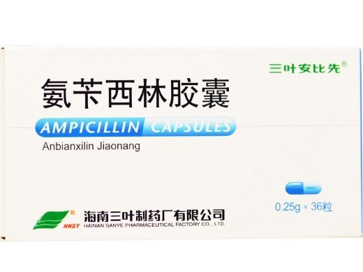 三叶安比先氨苄西林胶囊招商代理 36粒 三叶制药厂