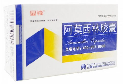 显锋阿莫西林胶囊招商代理 50粒 显锋科技制药