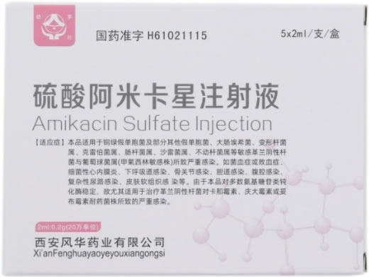 幼芽硫酸阿米卡星注射液招商代理 5支 西安风华药业
