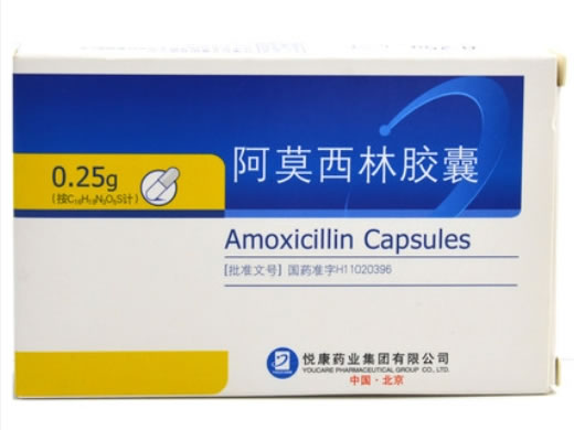 悦康药业阿莫西林胶囊招商代理 50粒 悦康药业