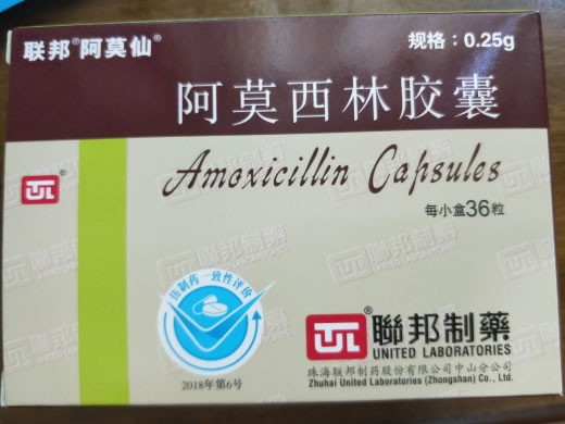 联邦阿莫仙阿莫西林胶囊招商代理 36粒
