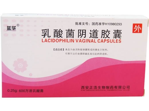 延华乳酸菌阴道胶囊招商代理 益生菌