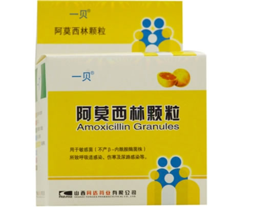 阿莫西林颗粒招商代理 12袋 山西同达药业
