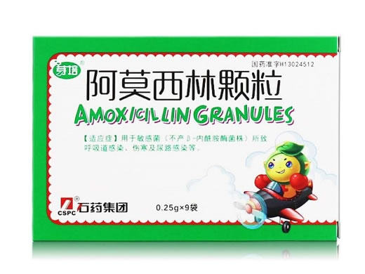 石药/石药集团阿莫西林颗粒招商代理 0.25g*9袋 石药集团中诺