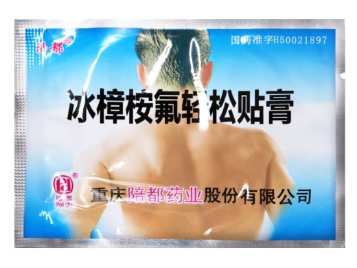 陪都冰樟桉氟轻松贴膏招商代理 4贴