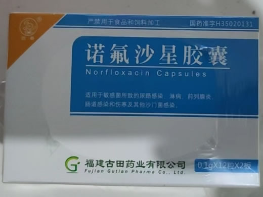 迊春诺氟沙星胶囊招商代理 24粒 迊春