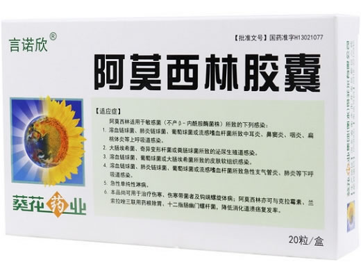 言诺欣阿莫西林胶囊招商代理 20粒 言诺欣