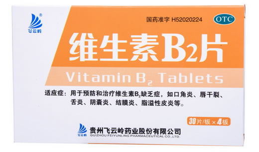 飞云岭维生素B2片招商代理 120片