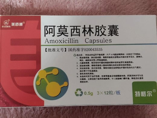 美舒通阿莫西林胶囊招商代理 12粒