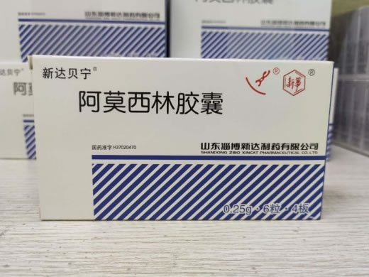 新达贝宁阿莫西林胶囊招商代理 0.25g*24粒 山东淄博新达制药