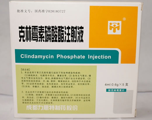 克林霉素磷酸酯注射液招商代理 4ml*5支 成都力思特