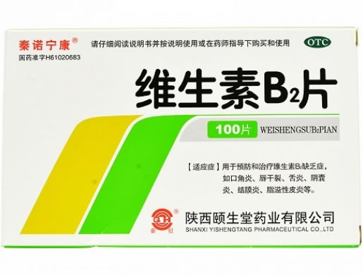丽允坊维生素B2片招商代理 100片 陕西颐生堂