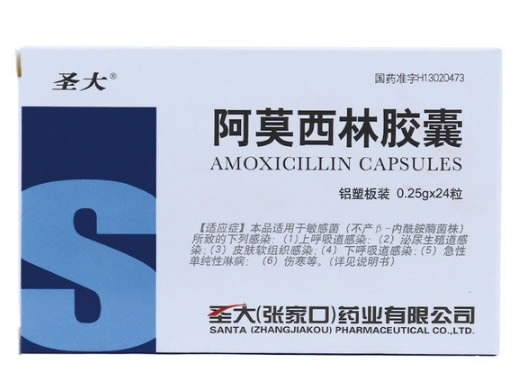 圣大阿莫西林胶囊招商代理 24粒