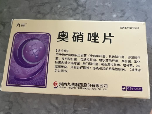 九典奥硝唑片招商代理 0.5g*24片 九典