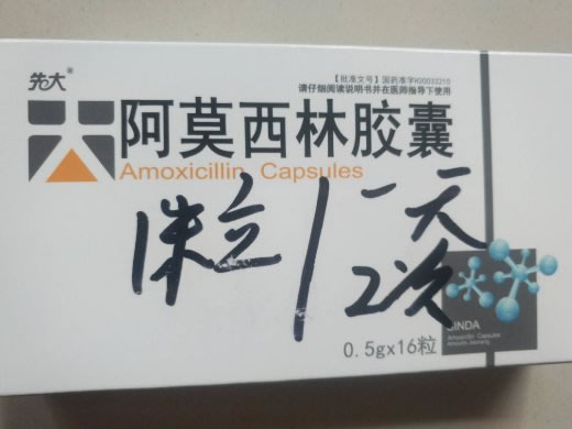 先大阿莫西林胶囊招商代理 16粒 力恩普制药