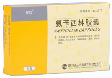 安邦氨苄西林胶囊招商代理 24粒 湖南安邦制药