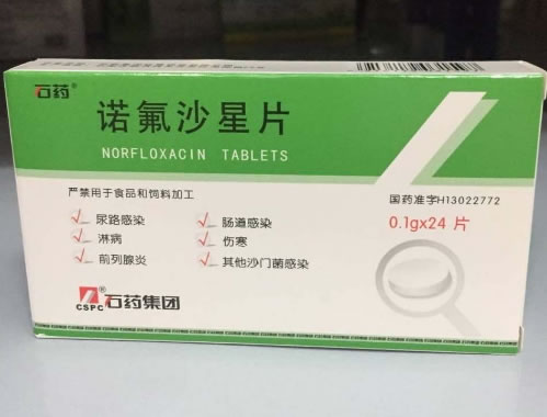 石药/石药集团诺氟沙星片招商代理 24片