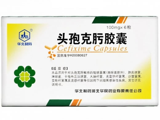 华北制药头孢克肟胶囊招商代理 6粒 华民药业