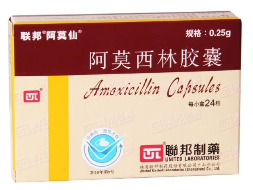 联邦/阿莫仙阿莫西林胶囊招商代理 0.25g*24粒